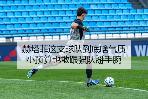 赫塔菲这支球队到底啥气质 小预算也敢跟强队掰手腕