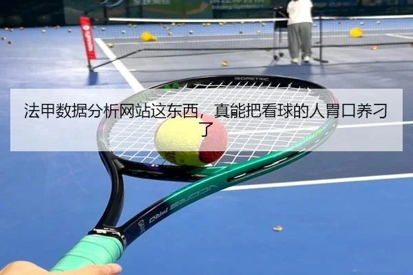 法甲数据分析网站这东西，真能把看球的人胃口养刁了