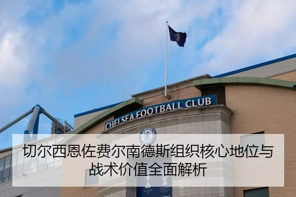 切尔西恩佐费尔南德斯组织核心地位与战术价值全面解析