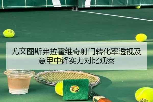 尤文图斯弗拉霍维奇射门转化率透视及意甲中锋实力对比观察