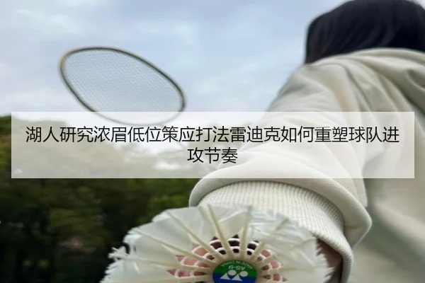 湖人研究浓眉低位策应打法雷迪克如何重塑球队进攻节奏